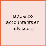 BVL & co accountants en adviseurs